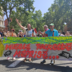 Toulouse : quelles suites pour le mouvement anti-passe sanitaire ?