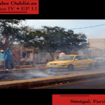 L’Actu des Oublié.e.s : le Sénégal en crise
