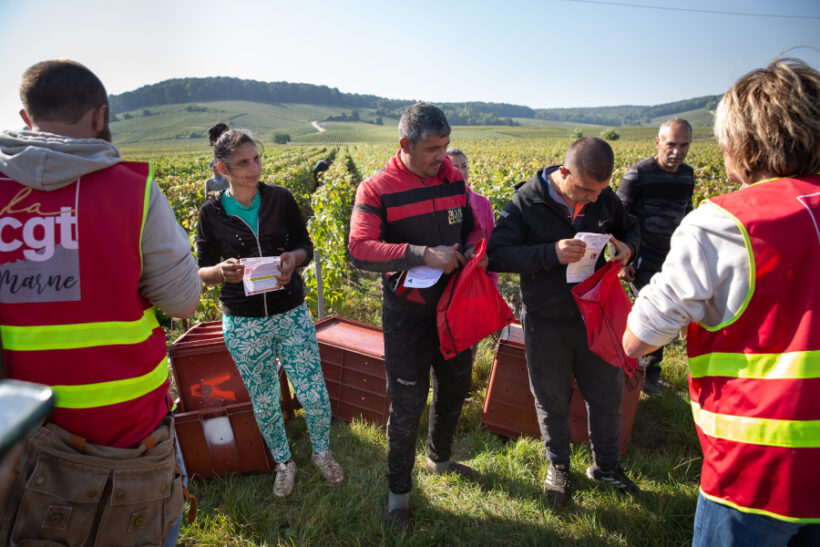 Vendanges en Champagne