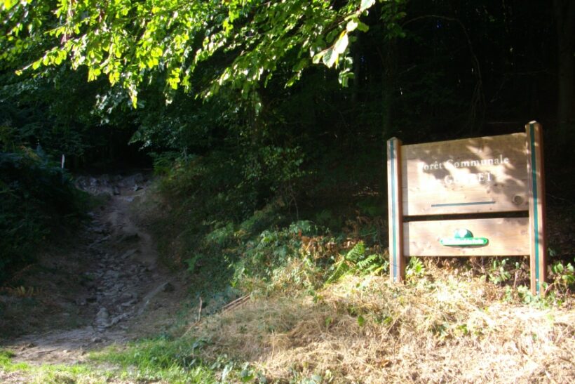 Guéret Creuse forêt limousine